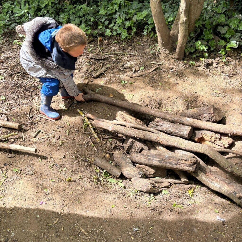 Playing with logs - Sea Turtles