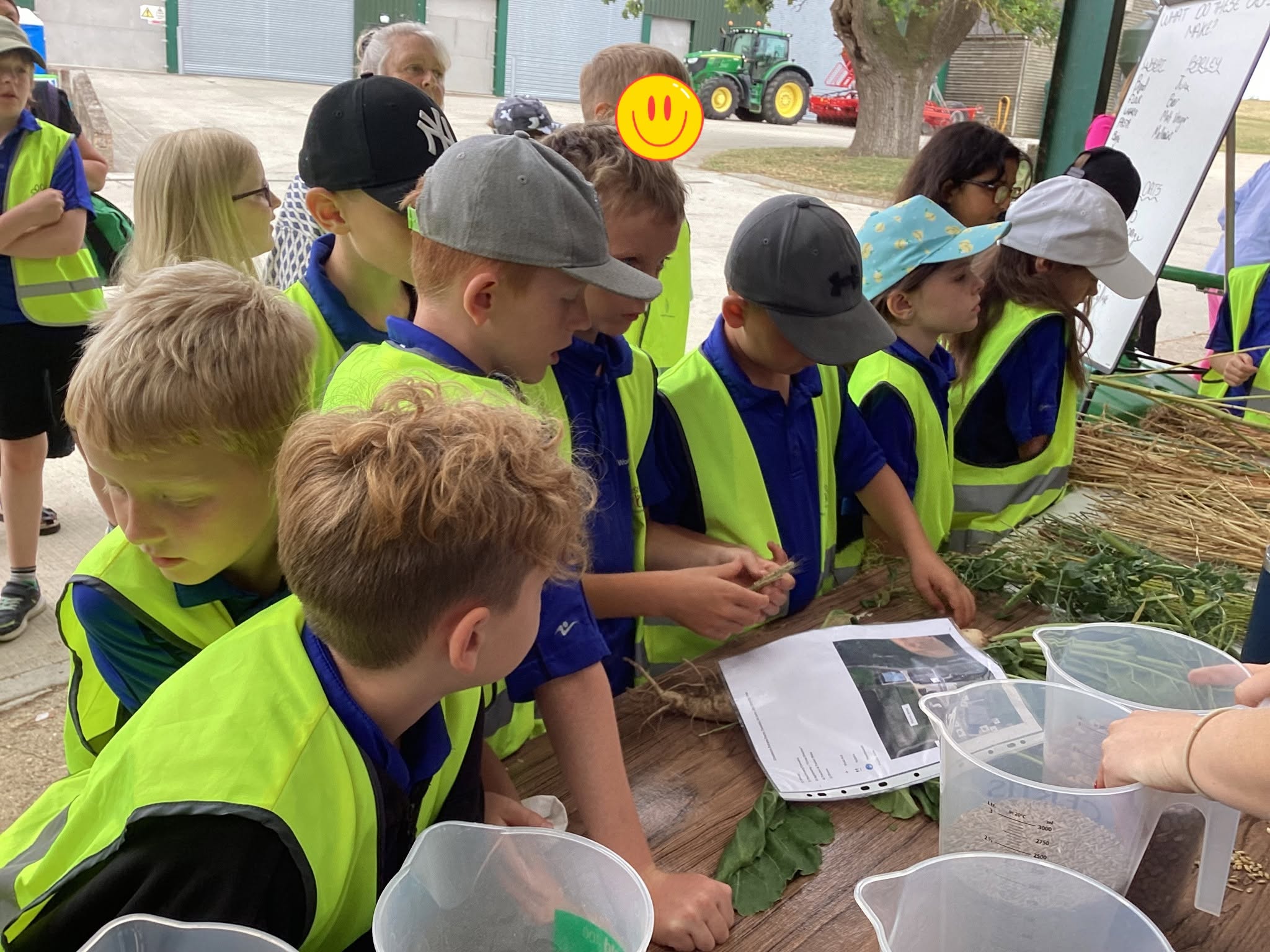 Pupils of Woolpit Primary Academy in a field with a tractor in the background